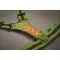 Cintura riflettente con LED - ROUNDVISIBLE - Anteprima 7