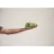 Cintura riflettente con LED - ROUNDVISIBLE - Anteprima 9