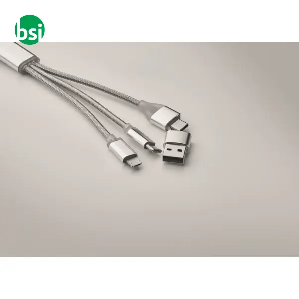 Cavo di ricarica 4 in 1 di tipo C - BLUE -  16