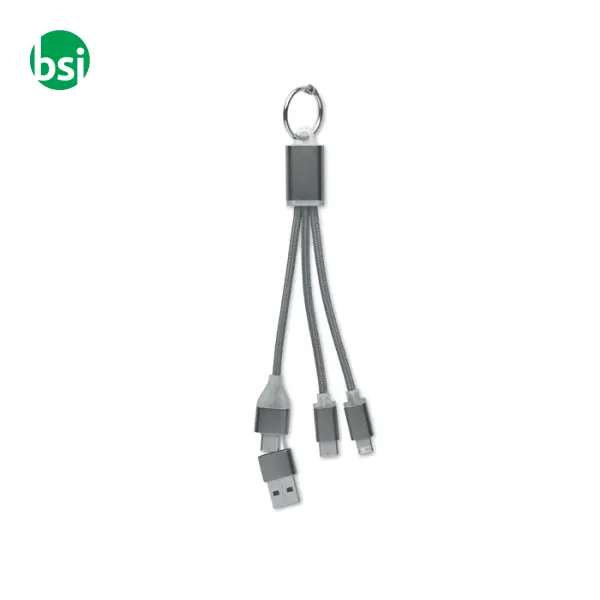 Cavo di ricarica 4 in 1 di tipo C - BLUE -  26