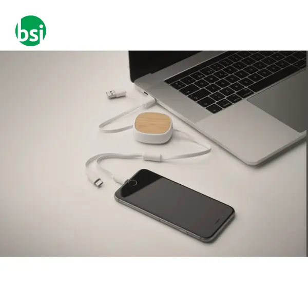 Cavo di ricarica USB retrattile - TOGOBAM -  2