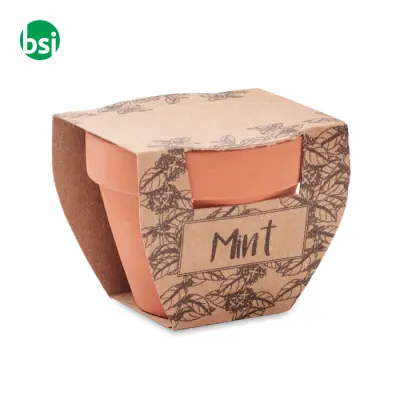 Semi di menta in vaso - MINT POT - Immagine 8