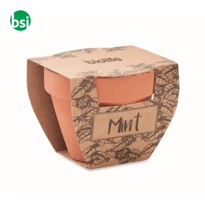 Semi di menta in vaso - MINT POT - Immagine 4