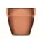 Semi di crescione in vaso - CRESS POT - Anteprima 5