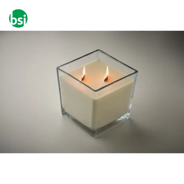 Cera in cera vegetale 1300 gr - RIUADA -  2