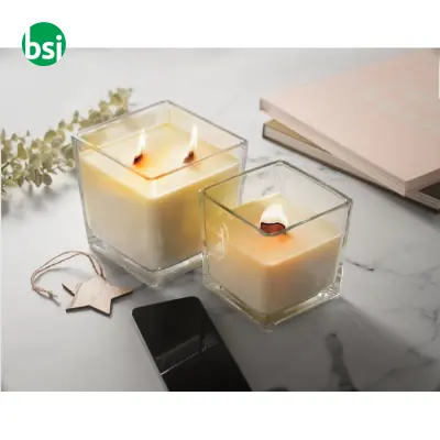 Cera in cera vegetale 1300 gr - RIUADA - Immagine 5