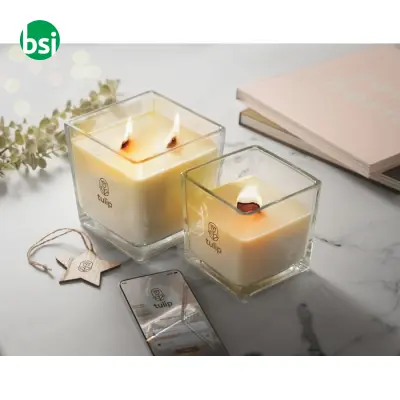 Cera in cera vegetale 1300 gr - RIUADA - Immagine 6