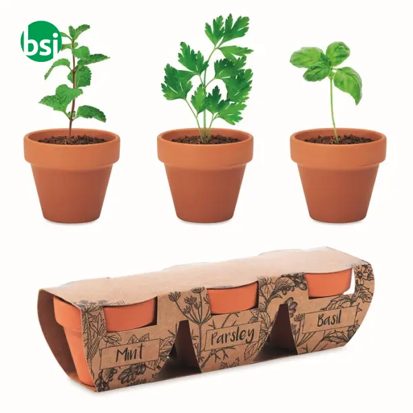 Set di erbe in terracotta - FLOWERPOT -  1