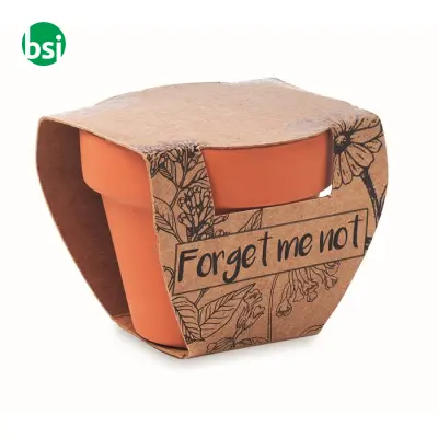 Semi di non ti scordar di me - FORGET ME NOT - Immagine 2