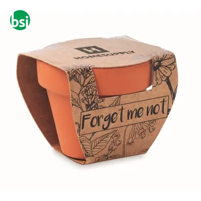 Semi di non ti scordar di me - FORGET ME NOT - Immagine 3