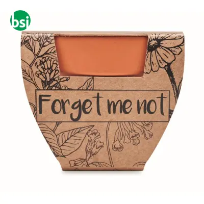 Semi di non ti scordar di me - FORGET ME NOT - Immagine 4