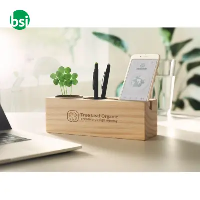 Stand scrivania con kit di semi - THILA - Immagine 4