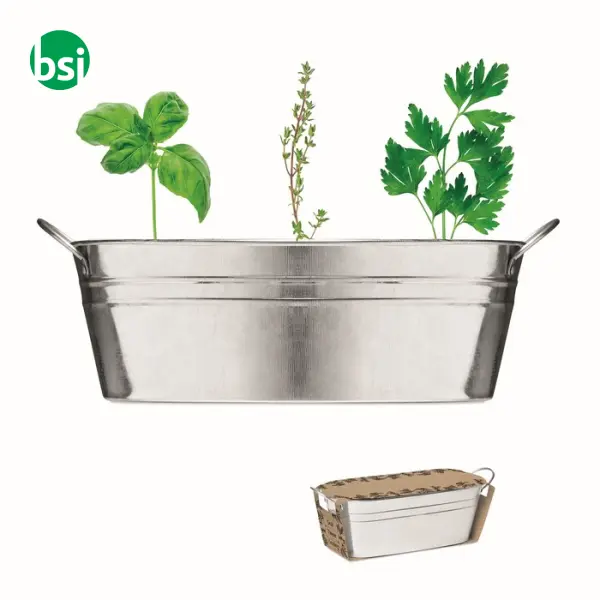 Vaschetta con 3 semi di erbe - MIX SEEDS -  1