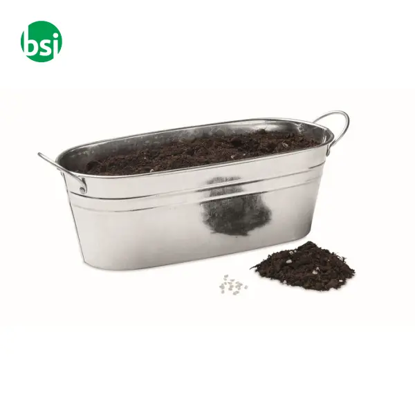 Vaschetta con 3 semi di erbe - MIX SEEDS -  2