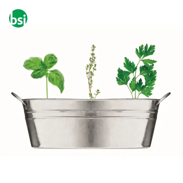 Vaschetta con 3 semi di erbe - MIX SEEDS -  7