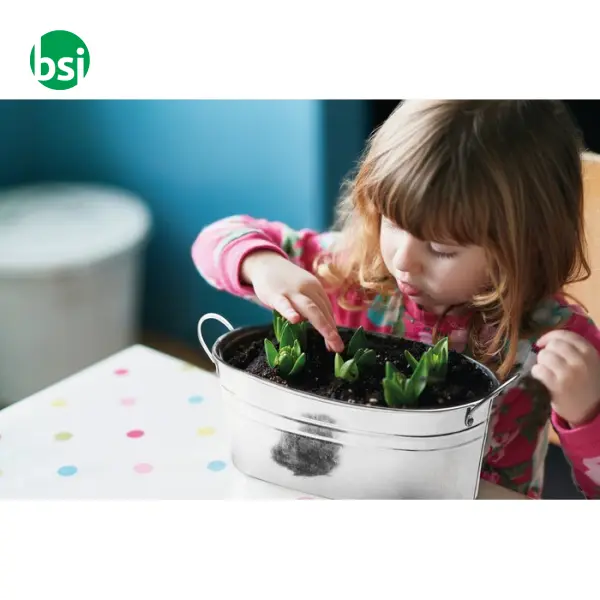 Vaschetta con 3 semi di erbe - MIX SEEDS -  11