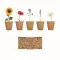 Kit per coltivare fiori - FLOWERS - Anteprima 1