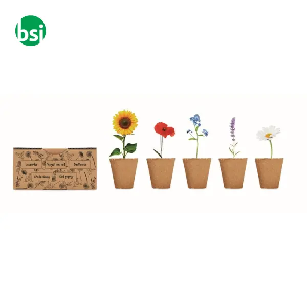 Kit per coltivare fiori - FLOWERS -  6