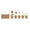 Kit per coltivare fiori - FLOWERS - Anteprima 6