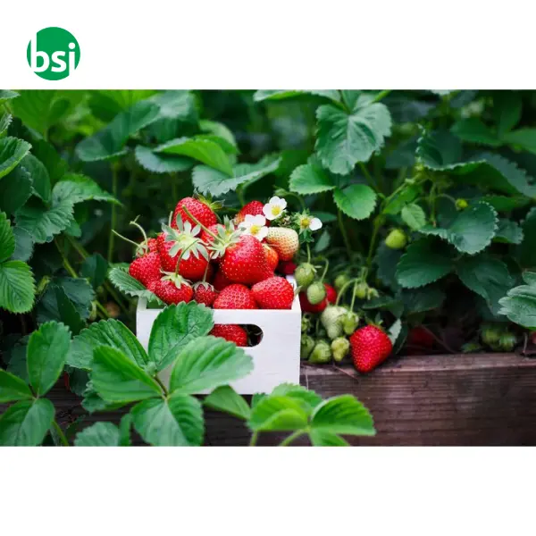 Notebook A5 in carta riciclata - GROW -  13