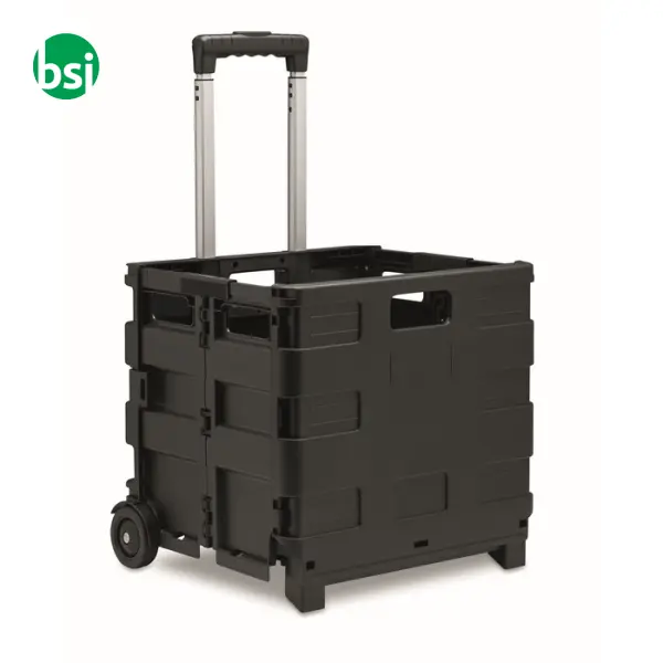 Carrello della spesa pieghevole - CARRO -  1