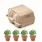 Kit di coltivazione in cartone - CRESS - Anteprima 1