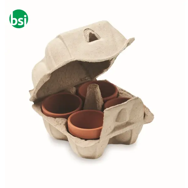 Kit di coltivazione in cartone - CRESS -  2