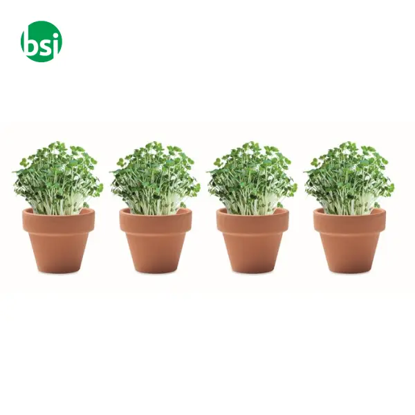 Kit di coltivazione in cartone - CRESS -  4