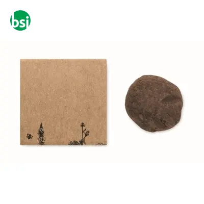 Kit di semi di fiori d'ape - BOMBI II - Immagine 5