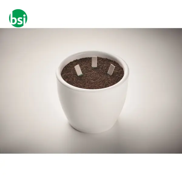 Bastoncini per semi di erbe - LEYTI -  4