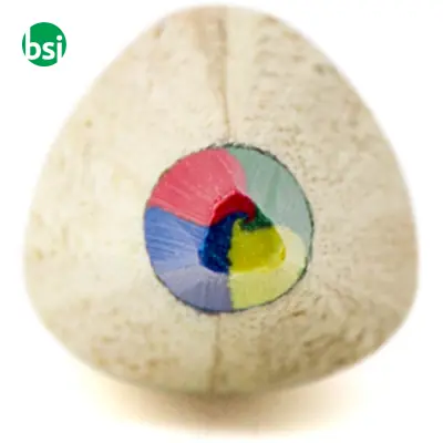 Matita multicolore Mae - Immagine 2