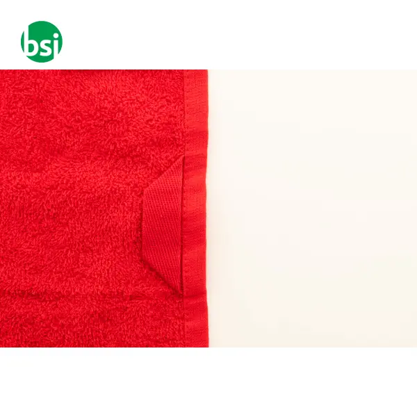 Asciugamano in spugna di cotone 30x50 TERRY S -  11