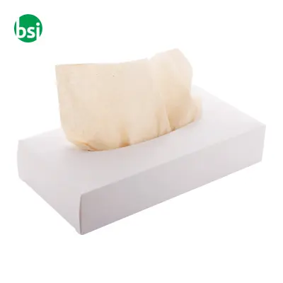 Dispenser personalizzabile per fazzolettini CREASNEEZE - Immagine 2