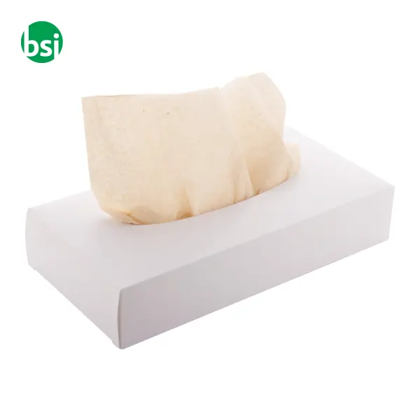 Dispenser personalizzabile per fazzolettini CREASNEEZE -  2