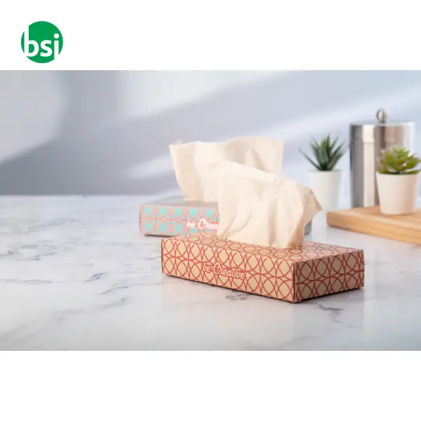 Dispenser personalizzabile per fazzolettini CREASNEEZE -  8