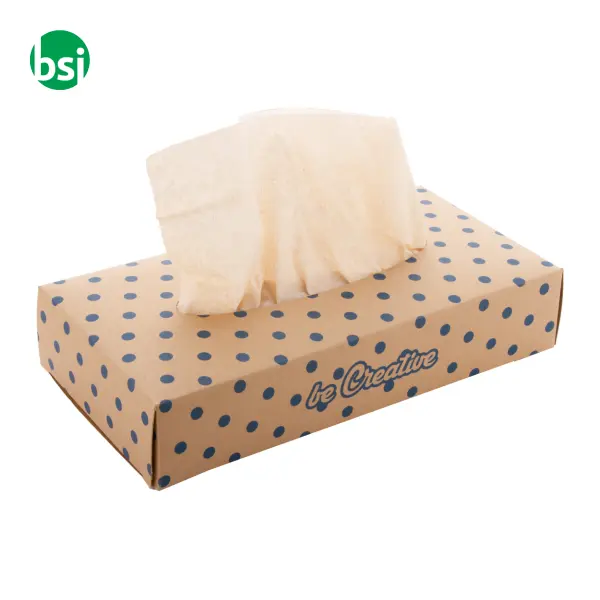 Scatola dispenser per fazzolettini CREASNEEZE ECO -  5