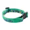 Collare per cani personalizzabile ZIGGY - Anteprima 5