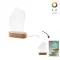 Trofeo con illuminazione a LED WOODIFY - Anteprima 1