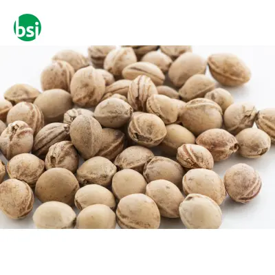 Cuscino con noccioli di ciliegia PITHEAT EAR - Immagine 5