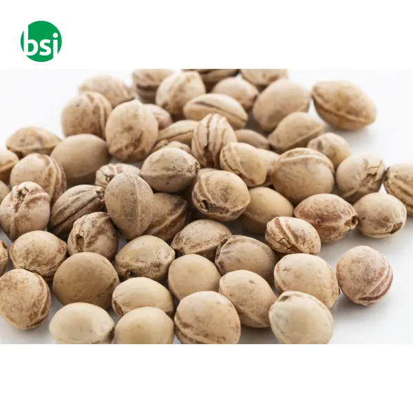 Cuscino con noccioli di ciliegia PITHEAT -  5