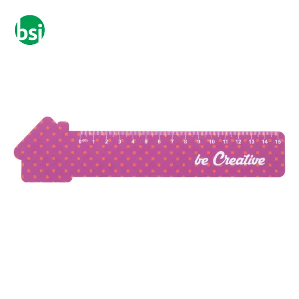 Righello da 15 cm casa COULER 15 -  10