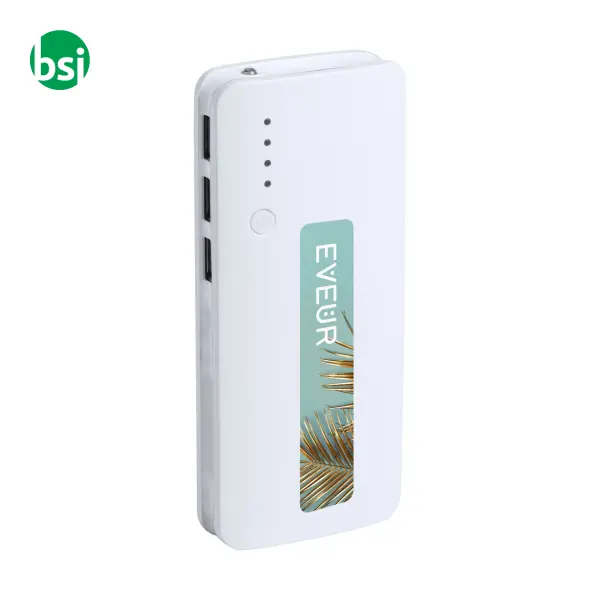 Power bank TENAK -  2