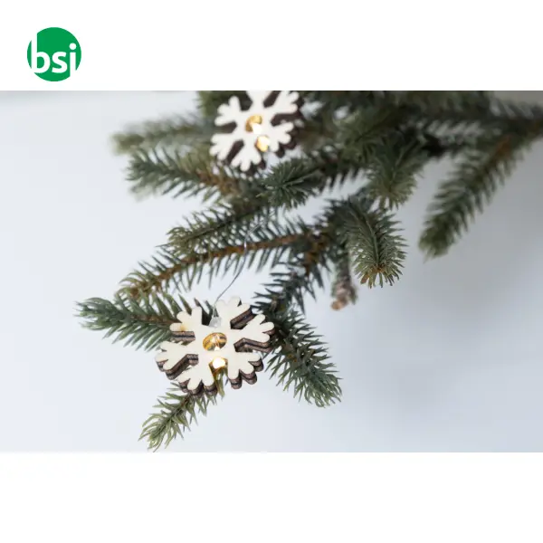 Filo di luci natalizie POLARIS -  7