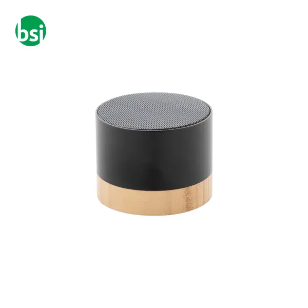 Cassa bluetooth RALOOBEAT -  12