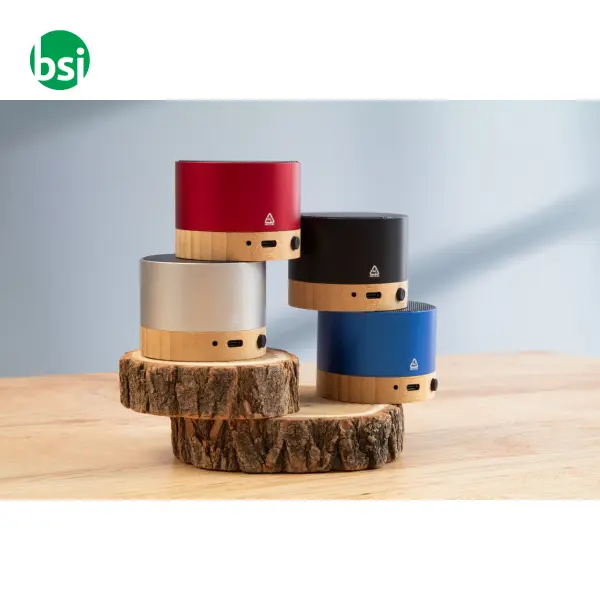 Cassa bluetooth RALOOBEAT -  19