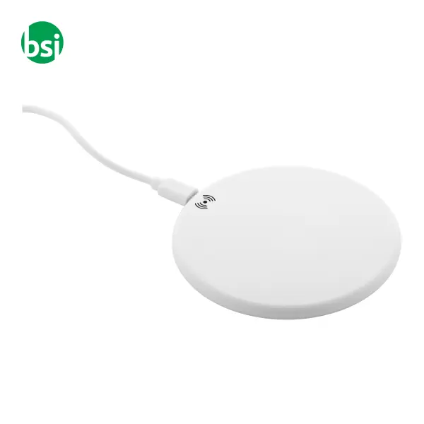 Caricabatterie wireless in RABS RENERGY -  1