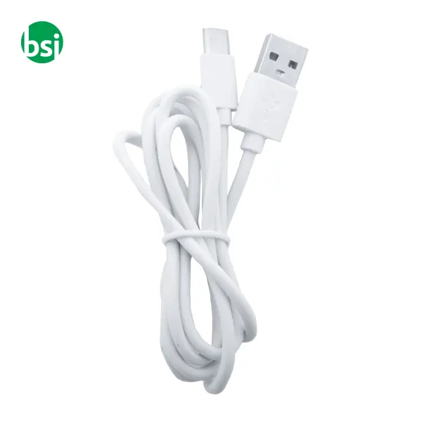 Caricabatterie wireless in RABS RENERGY -  5