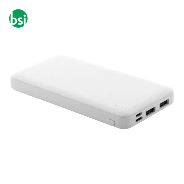 Power bank in RABS RABOBANK XL -  12