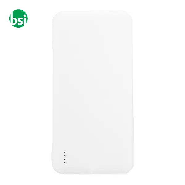 Power bank in RABS RABOBANK XL -  2