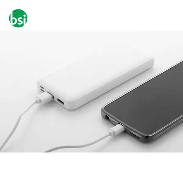 Power bank in RABS RABOBANK XL -  5